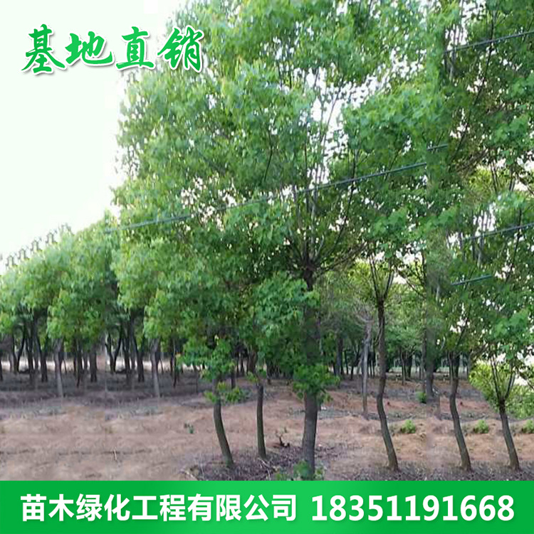 5c4a86edffe32bff05d560086bc88c