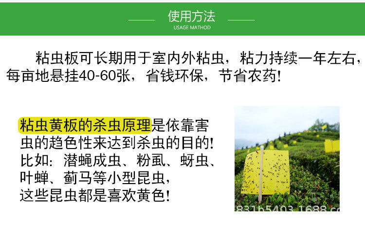 TB262f_h77mBKNjSZFyXXbydFXa_!!