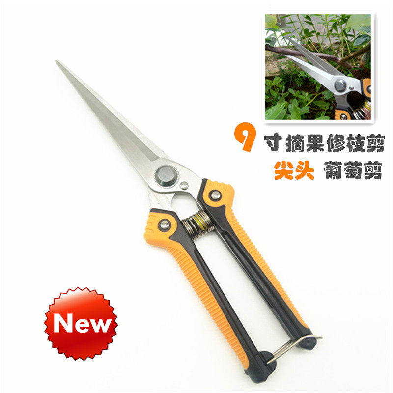 厂家生产9寸不锈钢尖头果园摘果剪 葡萄蔬果稀果剪刀 修枝果枝剪