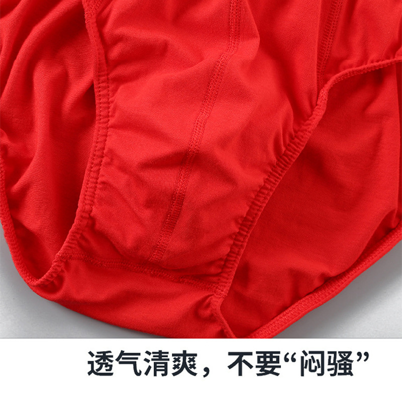 Pantalones interiores de hombre, triángulos de algodón, pantalones rojos, este año de vida, Hongyun, pantalones interiores transpirables de algodón, suministro directo para hombres