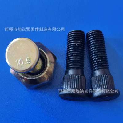轮胎专用螺丝 8.8级高强度轮毂螺栓 汽车螺栓螺母 定做各种轮胎丝|ms
