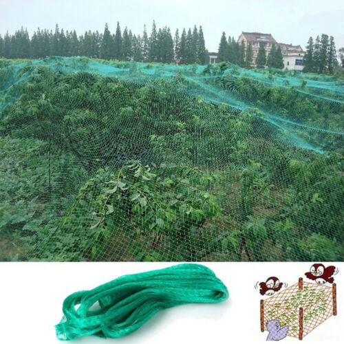 Bird Netting Image 9