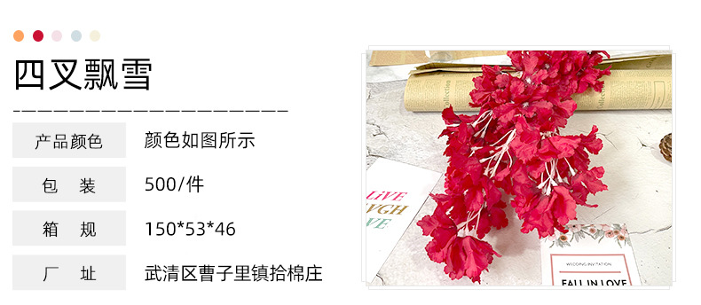 四叉飘雪_02.jpg