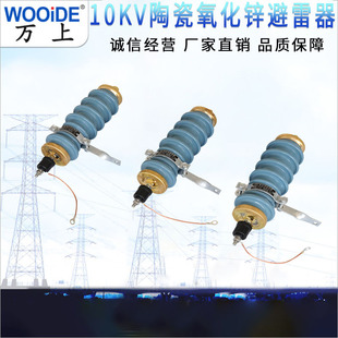 Y5Ws-17/50Ft Blue Ceramic Line Zinc Oxide Lightning Arrester 10Kv High Voltage Ceramic Lightning Arrester