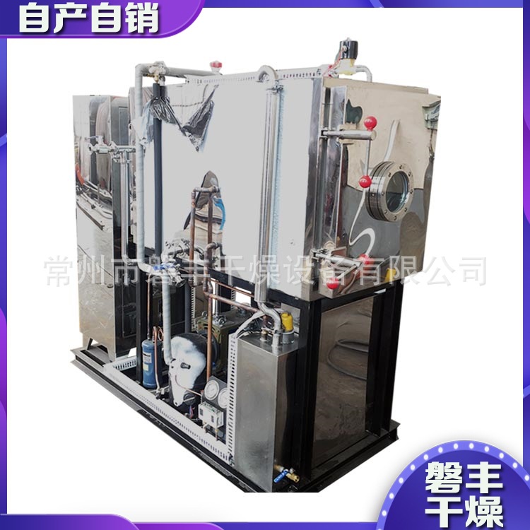 食品低温真空冷冻干燥机 香蕉片/草莓片/榴莲片选用冻干设备