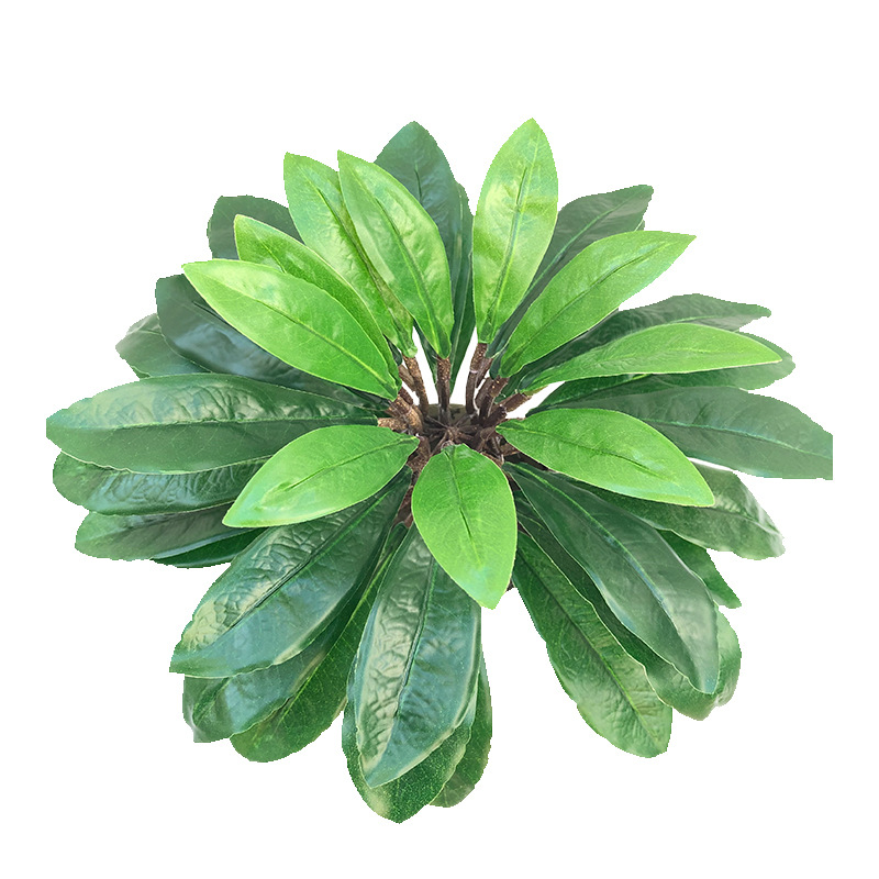 XRS-012 盆栽杨梅树叶  (1).jpg