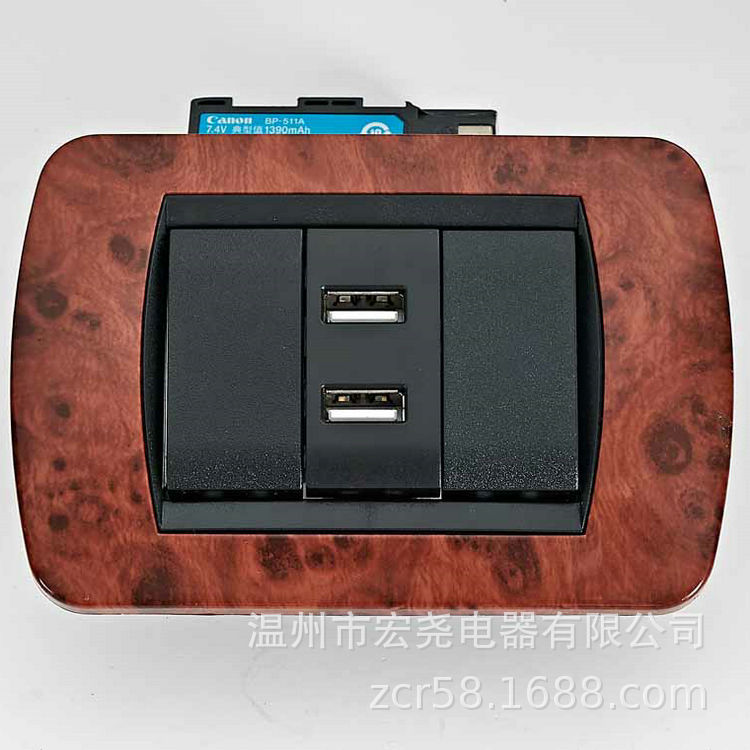 工厂直销 南美/东南亚墙壁插座开关 2位USB接口充电插座 CE认证