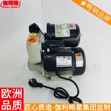 全自动加压泵 水泵增压泵 无电增压泵 琼