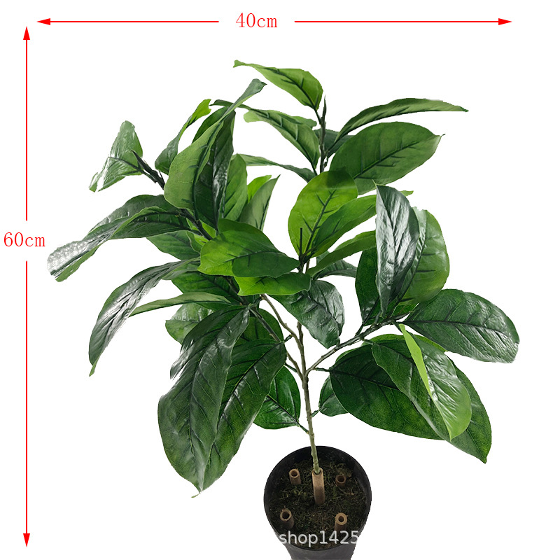 XRB-009 春色高榕叶五叉枝5.jpg