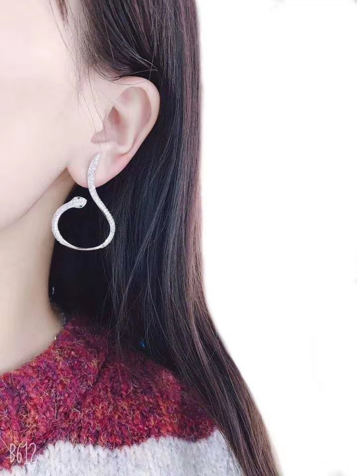 Curved Snake-shaped Earrings display picture 1