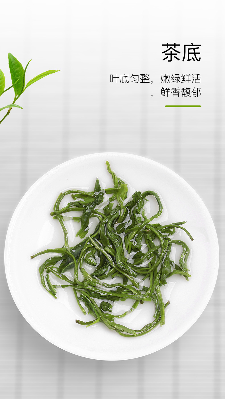 蒙顶山绿茶(香茶3#)_05