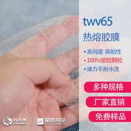 twv65热熔胶膜 低温弹力EVA热熔胶网厂家销售