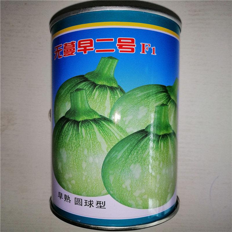 春播西葫芦种子四季田园小占瓜种籽农家早熟杂交新品种西葫芦种孑-阿里巴巴
