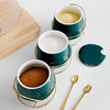 Ceramic seasoning tank Nordic home kitchen three -piece set with spoon seasoning tank salt tank seasoning sugar can