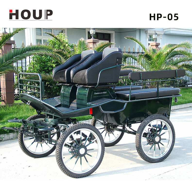 Manufactor Direct selling supply HP-05 superior quality Double row 6 people European style motion Carriage Coach Sightseeing Carriage