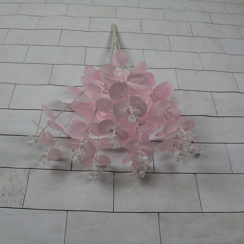 IMG_5806[1]_看图王_副本