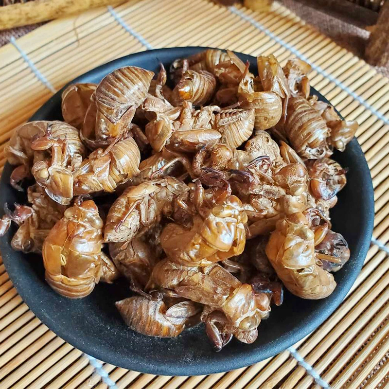 Цикада Слау китайская травяная медицина Цикада СЛАУ насекомое назад мыть чистой оптом Оптом Большой выгодно кожа цикады пальто почтовые расходы