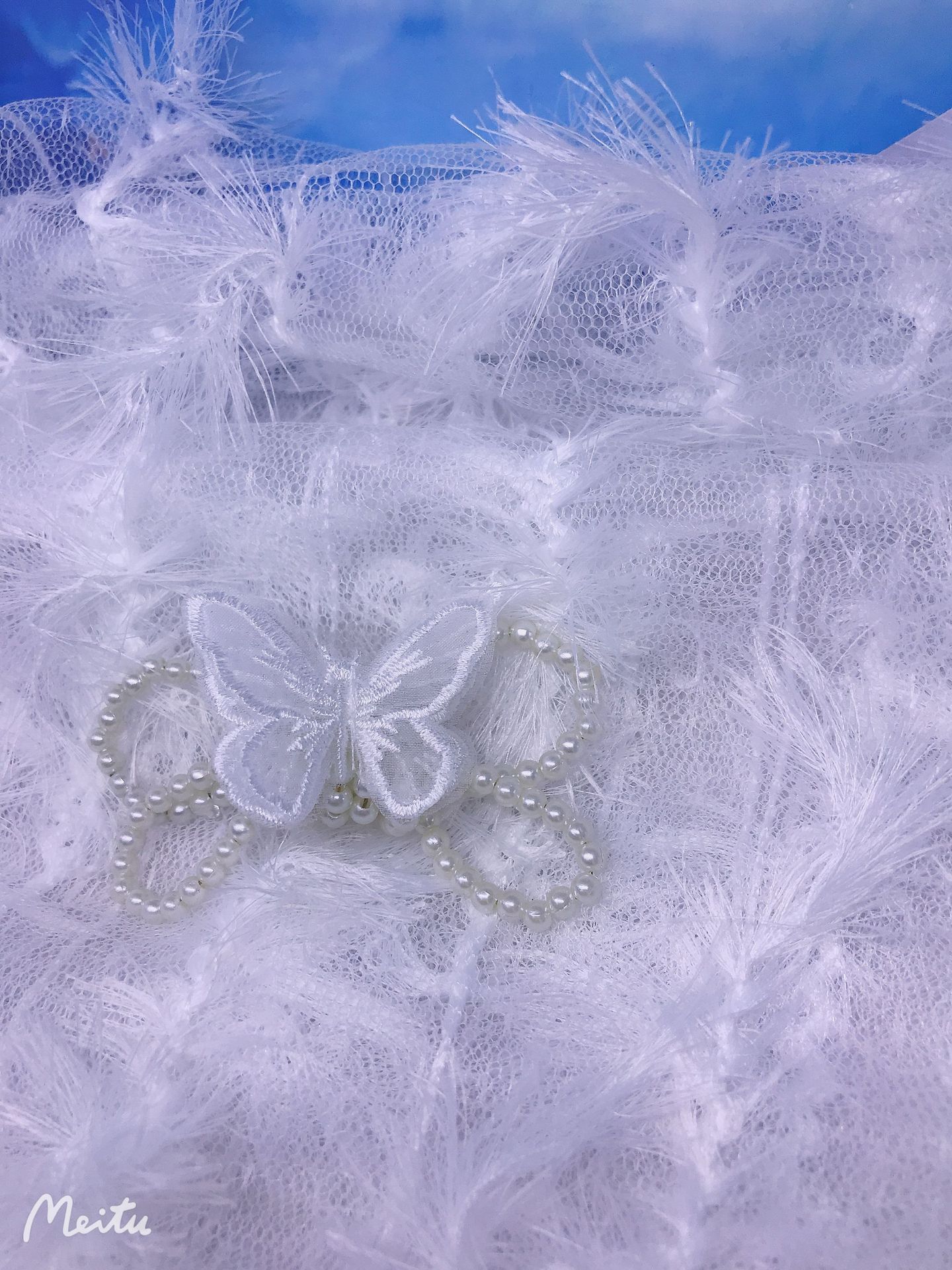 IMG_6887(20201028-143339)