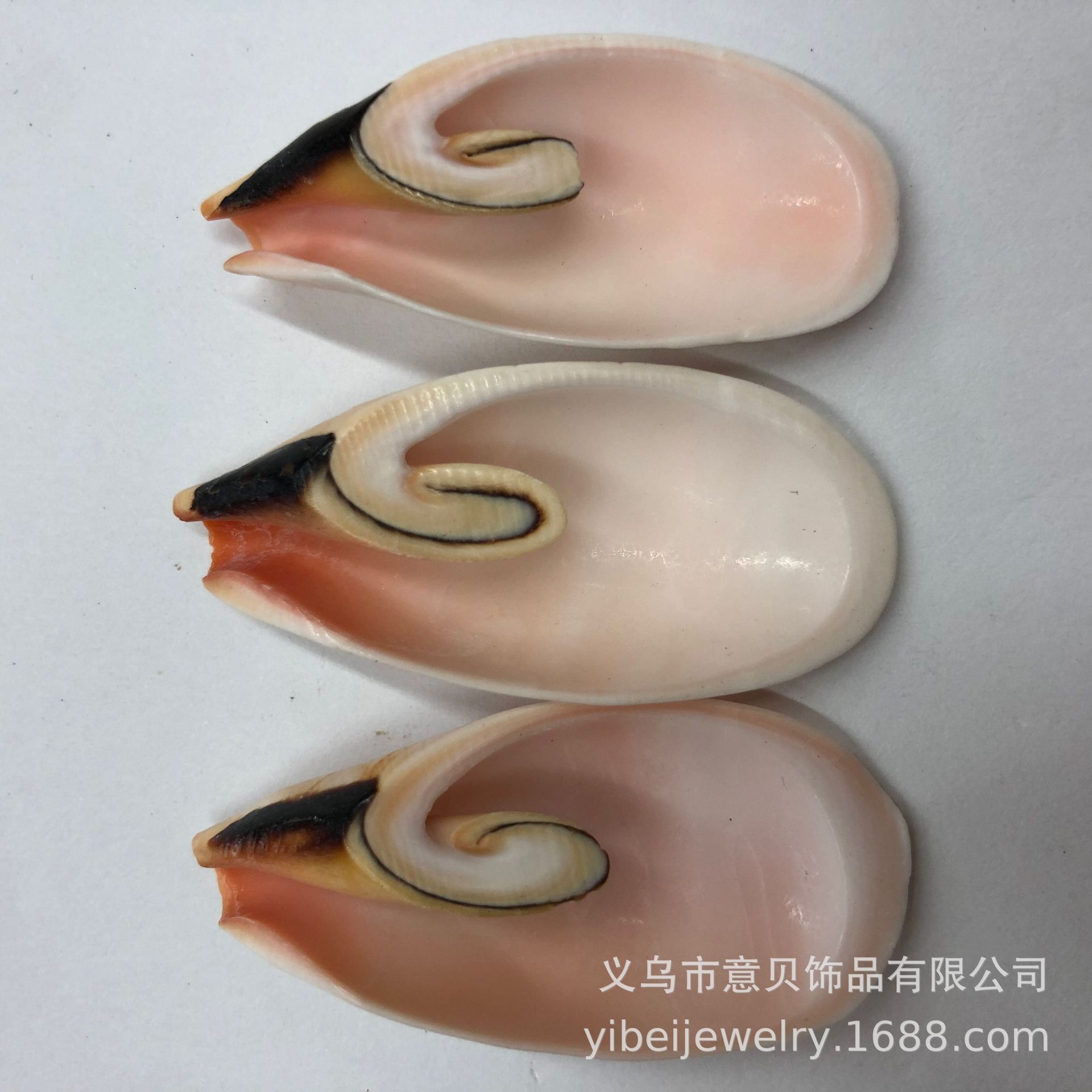 QQ图片20201012102913