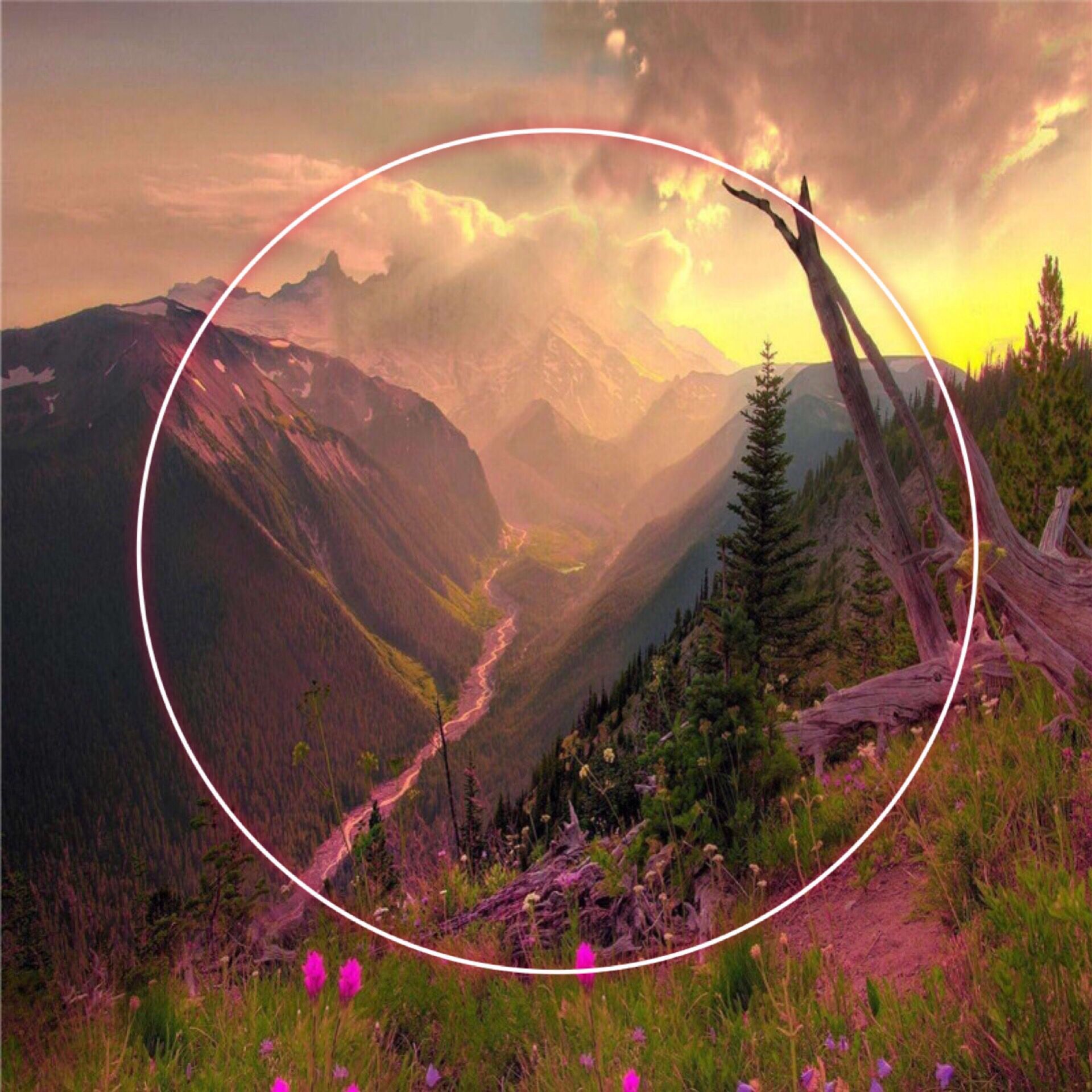 霧 防藍光鏡片1.56樹脂鏡片近視散光現貨供應吃貨需帶鏡片單加硬