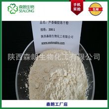 ��ɭ�ʡ��J�C���z���ɷ� 200:1 ���z  �J�C�z �J�C���z��