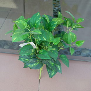 ���l�҃ȷ���ֲ�ﳣ���� �ӼҲ͏d���~�b��ْ�ڰ��c�G�}2.2��