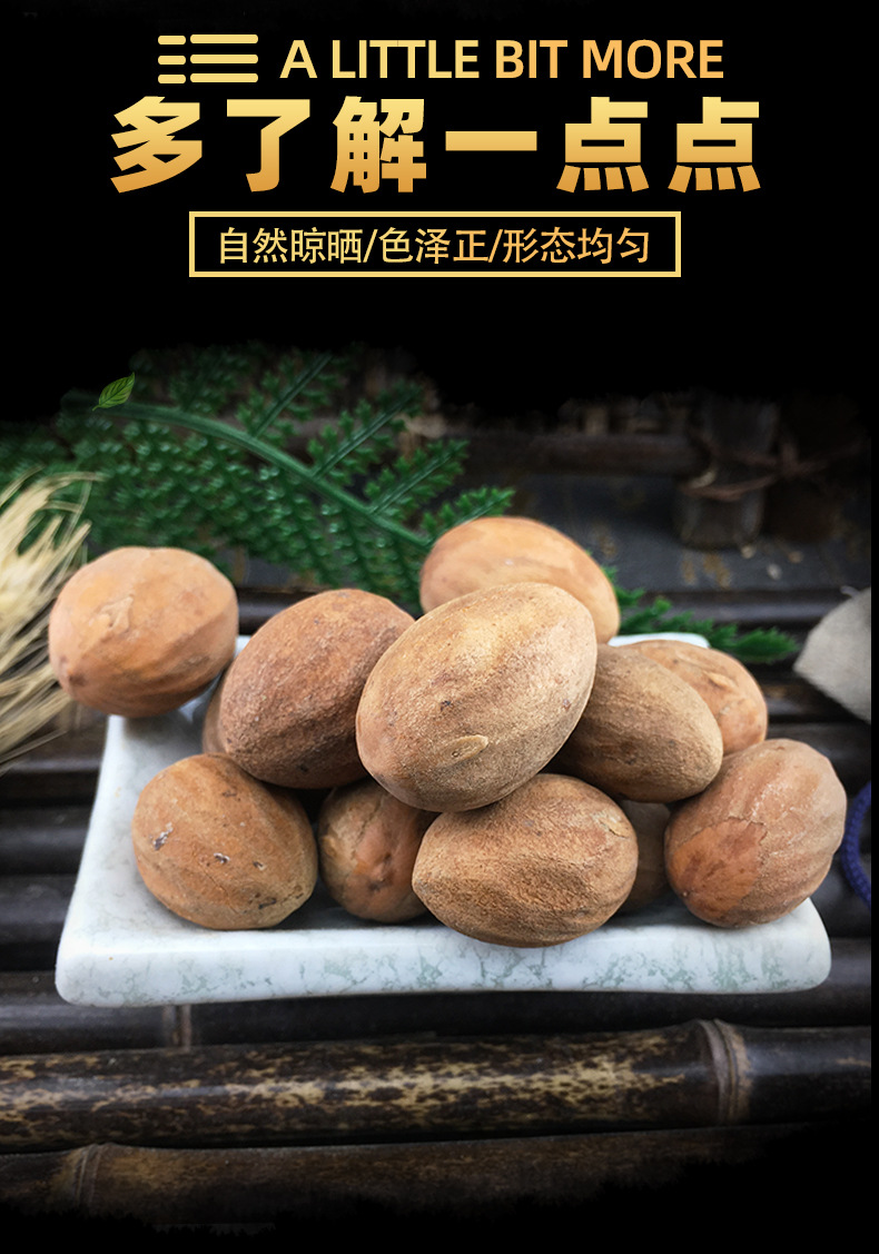 Dried Torrey Seeds Fei Zi 榧子 Raw Chinese Herbal Seeds Sun Dried Culinary and TCM Use 500g key features