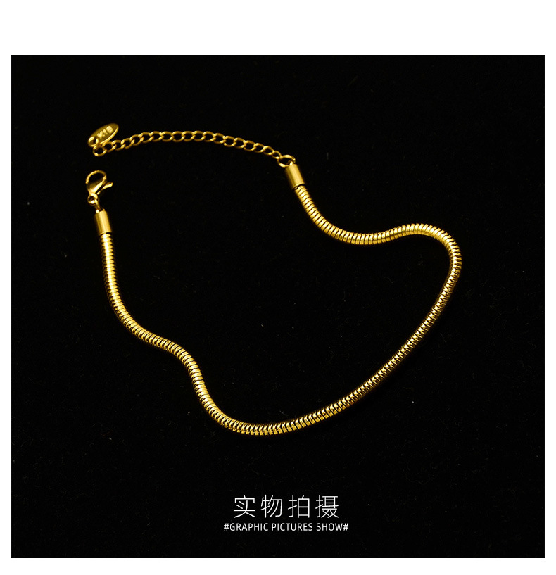 Round Snake Texture Real Gold-plated Anklet Titanium Steel Material 18k Real Gold-plated Non-allergenic Anklets Wholesale Nihaojewelry display picture 12