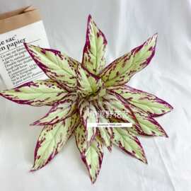 仿真蕨类绿色植物手感15叶白斑睡美人过胶草植物墙配材插花装饰