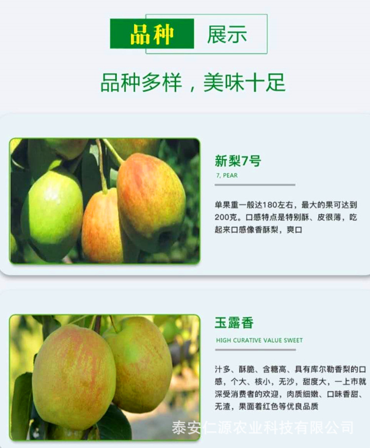 fb929738e41da9fd3c771fe93b8866