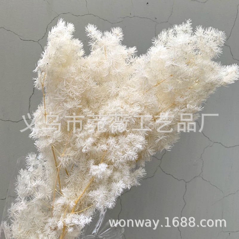 微信图片_20200607223436