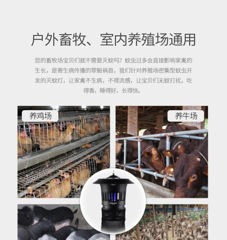 灭蚊灯-2