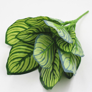 ��Ʒ5�^�׿�ȸ�~����ֲ��Gֲ�����b�ֲ���İ����^�z�~��