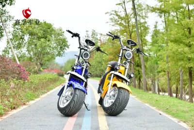 Motorcycle 2000W High Power Electric – Elektrikli motosikletlər