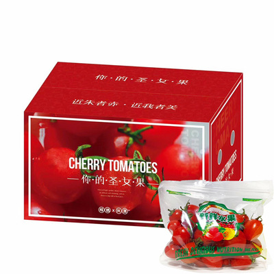 福建露天圣女果4斤礼盒装小西红柿非千禧水果一件代发包邮代发|ms