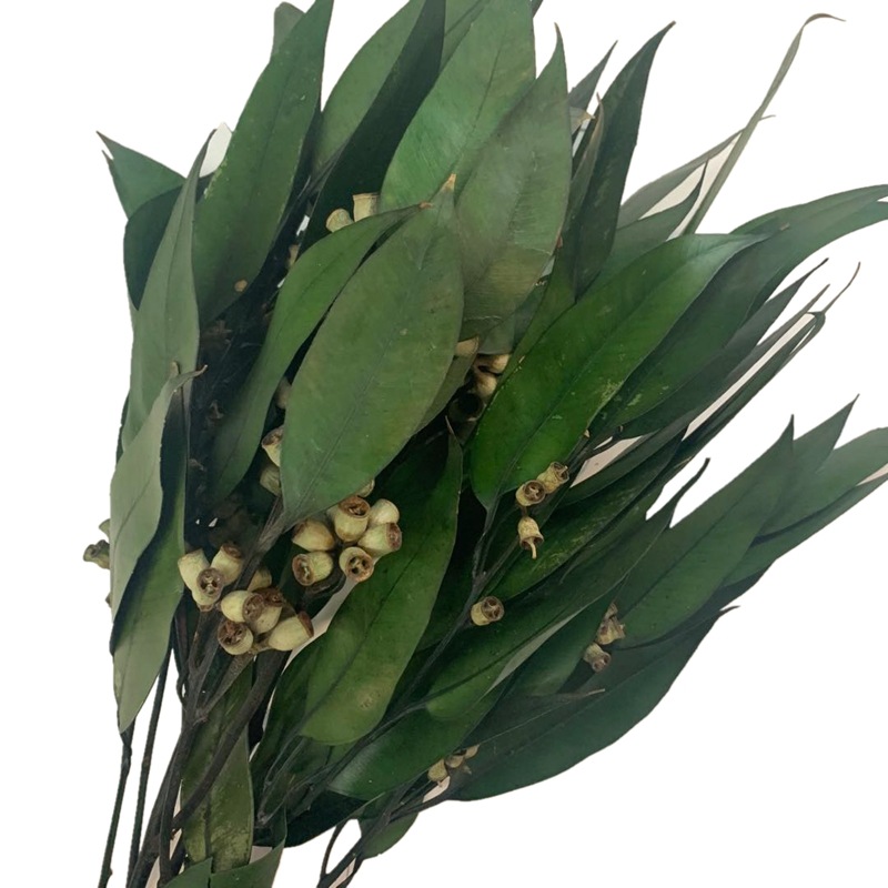 微信图片_20200427131539