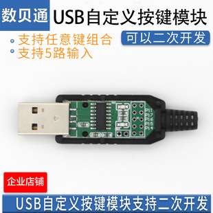 USB�Զ��x���I USBС�I�P �I�P���ģ�M USB�_�P 5· ����I