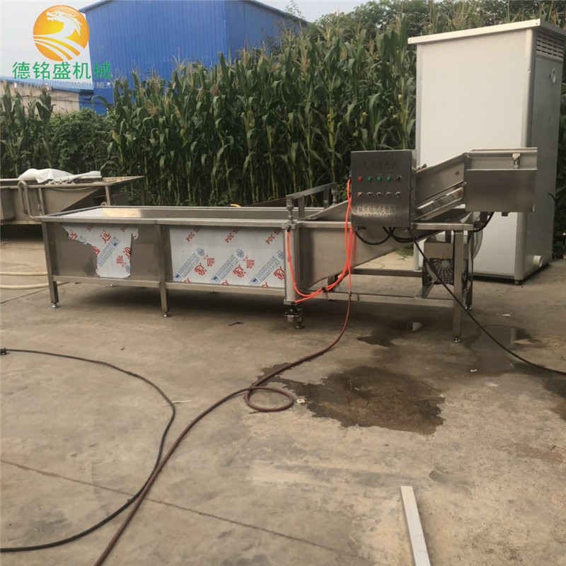 水产清洗蒸煮线 银耳木耳气泡喷淋清洗设备 香菇气泡清洗机