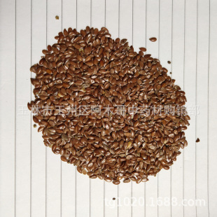 ������ ��������ș�� ��؛  ����� ե��ԭ�� ������ ������