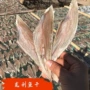 北海水产特产风干小鱼干