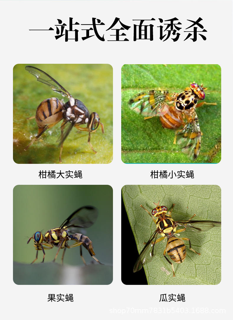 O1CN01t6P1vE1wRjnjgWnii_!!4093