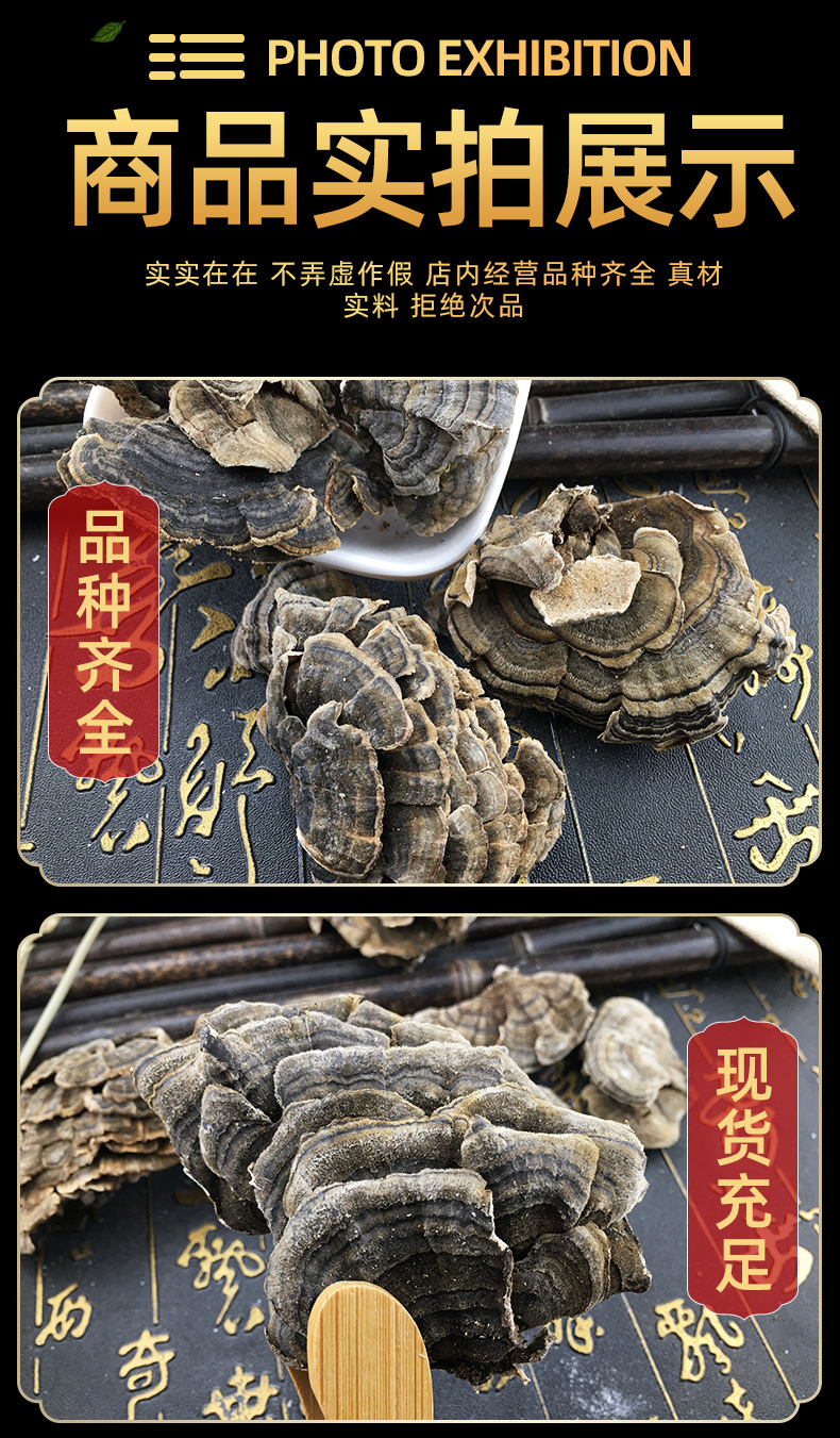 Yun Zhi Coriolus Mushroom Dried Cloud Polypore Slices Traditional Herbal Decoction Ingredient 500g in use