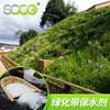 green side slope Barren mountain afforestation Mine repair Forestry Drought Aquasorb goods in stock supply wholesale