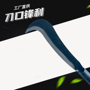 �S�_���i��F������ �����r�È@����֦�� ���� ���䵶 ��砵�