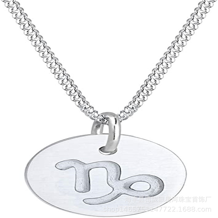 跨境新款银星河饰品 925纯银简约时尚十二星座魔羯座项链轻奢吊坠