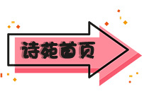 个性青蛙发箍网红可爱动物发带女式高颅顶头箍呱呱蛙发饰