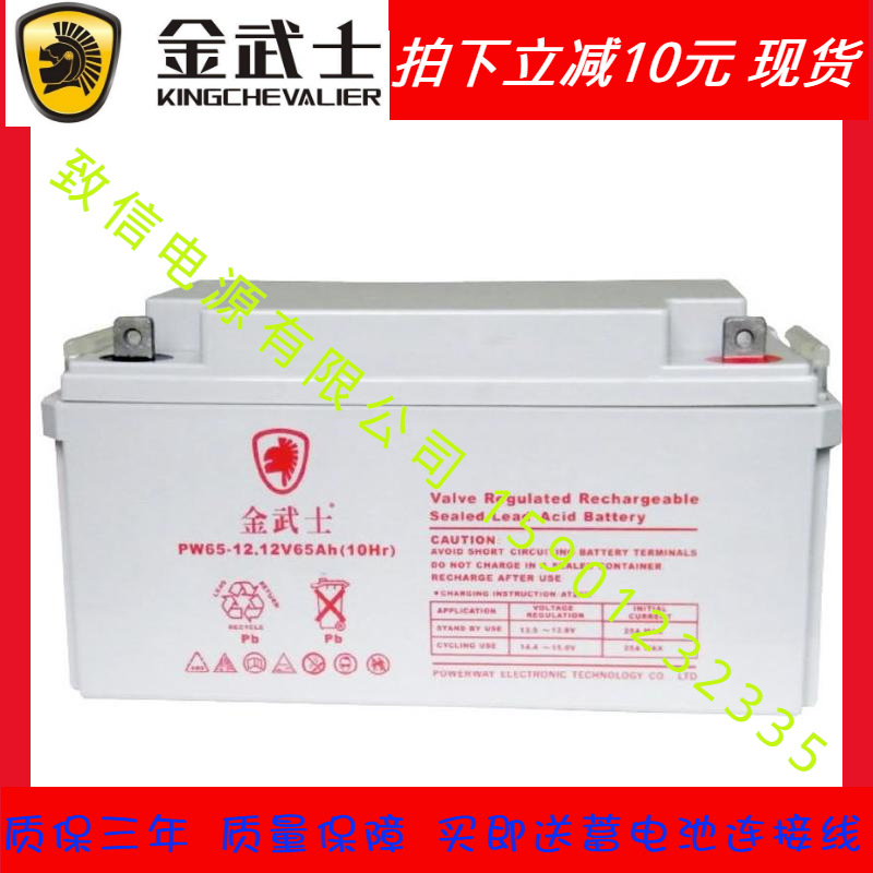 金武士铅酸蓄电池PW55-12 12v55ah消防 通讯 基站 路灯 航吊