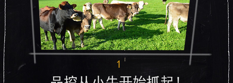 5斤散装牛肉干口味标签_07