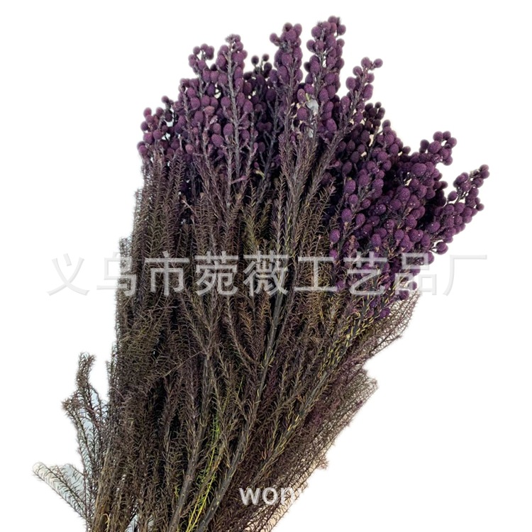 微信图片_20200323224645