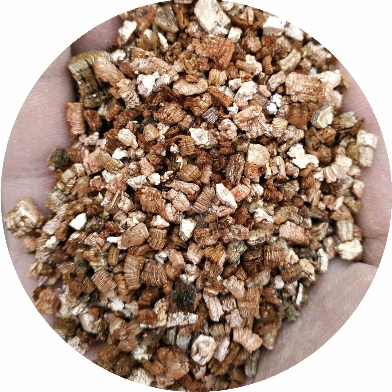 supply gardening grow seedlings Vermiculite Potato grow seedlings Vermiculite Potato grow seedlings Vermiculite